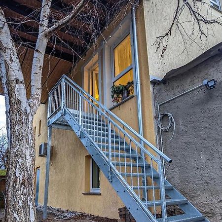 Ferienwohnung Einraum Apartment Pusteblume Eilenburg Dış mekan fotoğraf